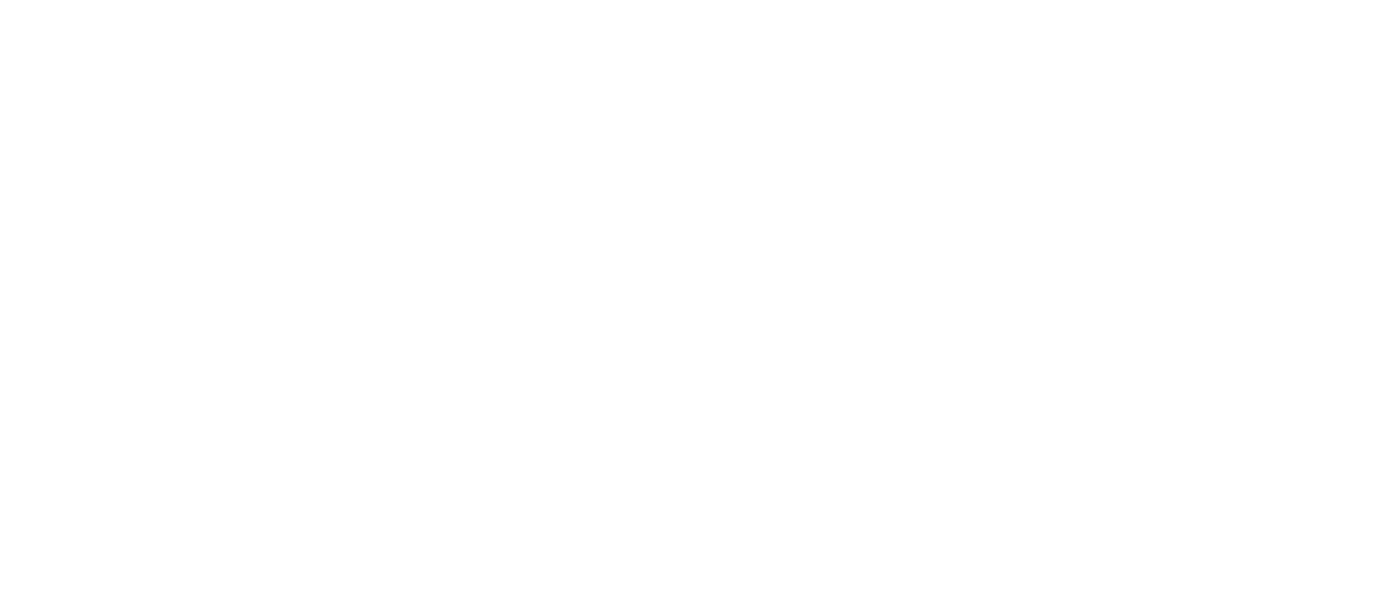 Norlandia Health & Care Group Logo NEG